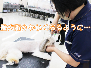 ２年生に向けて！先生の試技会♪②